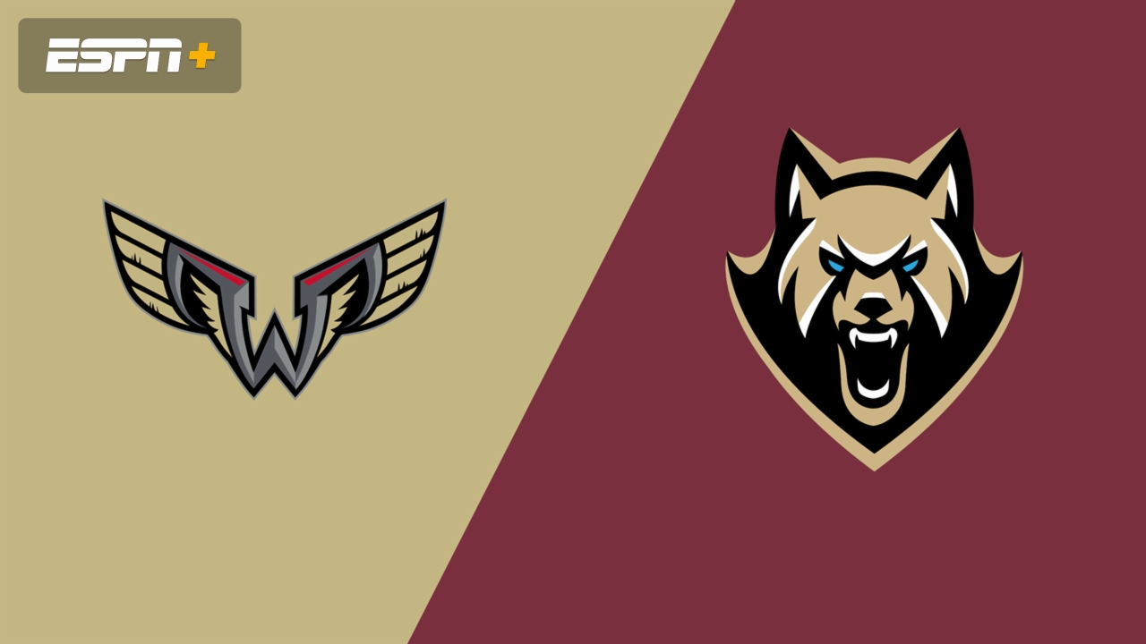 Philadelphia Wings vs. Albany FireWolves