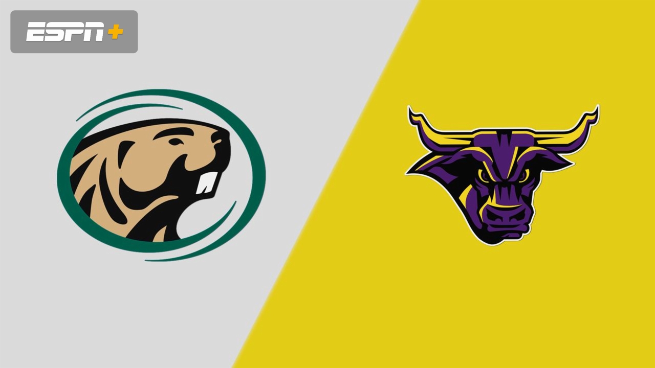 Bemidji State vs. Minnesota State (Quarterfinals)