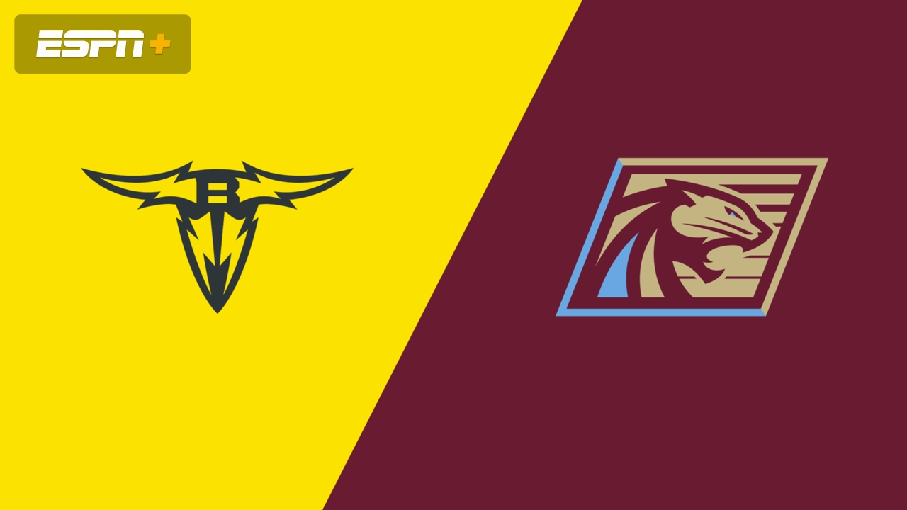 San Antonio Brahmas vs. Michigan Panthers