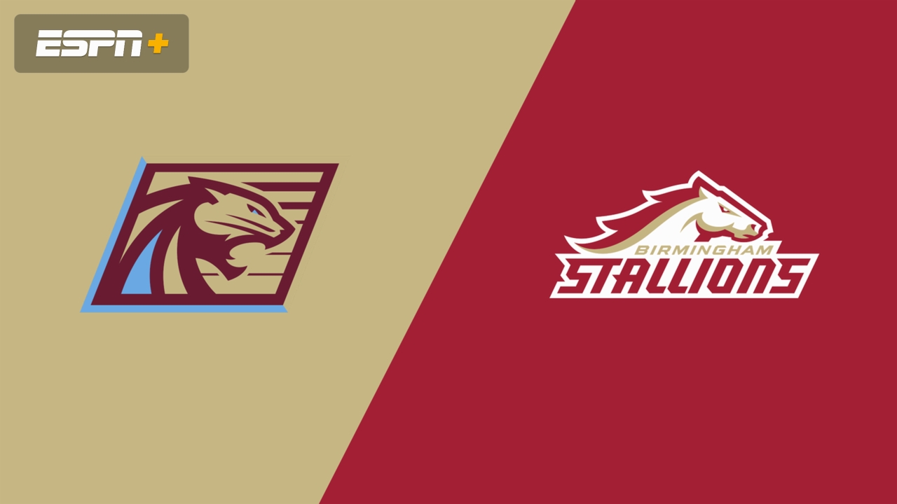 En Español-Michigan Panthers vs. Birmingham Stallions