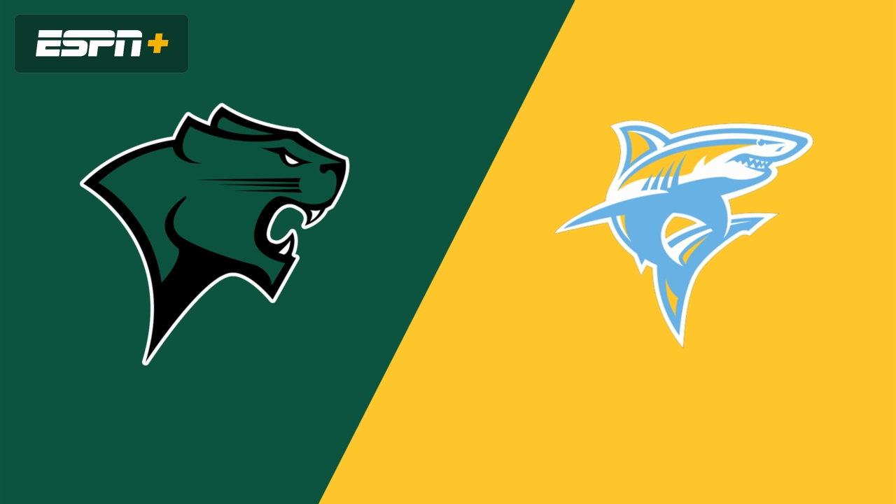 Chicago State vs. Long Island (Quarterfinals)