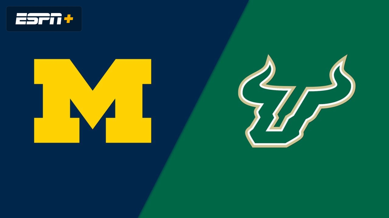 #22 Michigan vs. South Florida