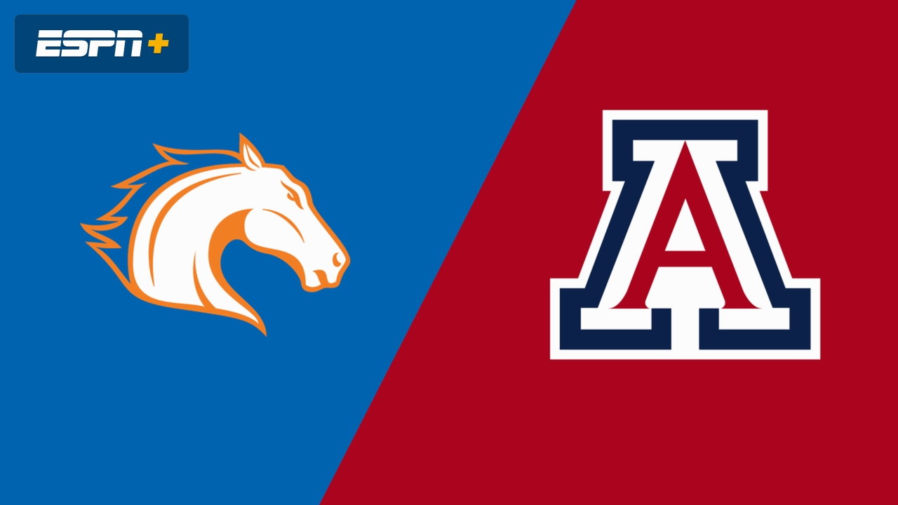 UT Arlington vs. #16 Arizona