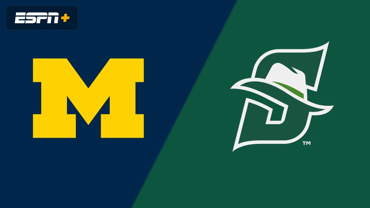 Michigan vs. Stetson