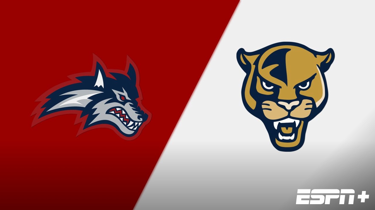 Stony Brook vs. Florida International