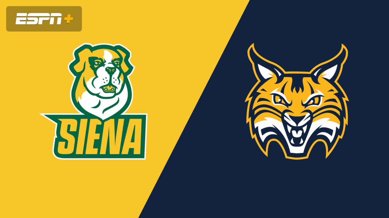 Siena vs. Quinnipiac