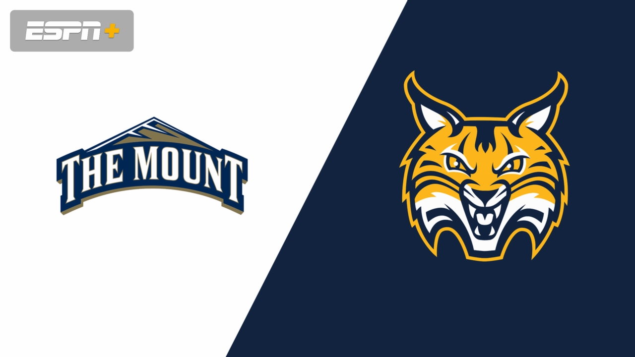 Mount St. Mary's vs. Quinnipiac