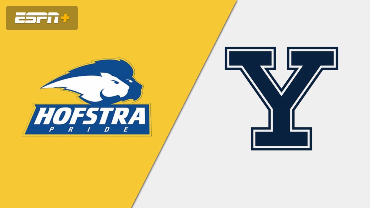Hofstra vs. Yale