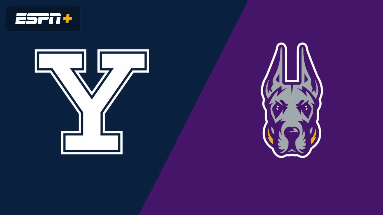 Yale vs. UAlbany