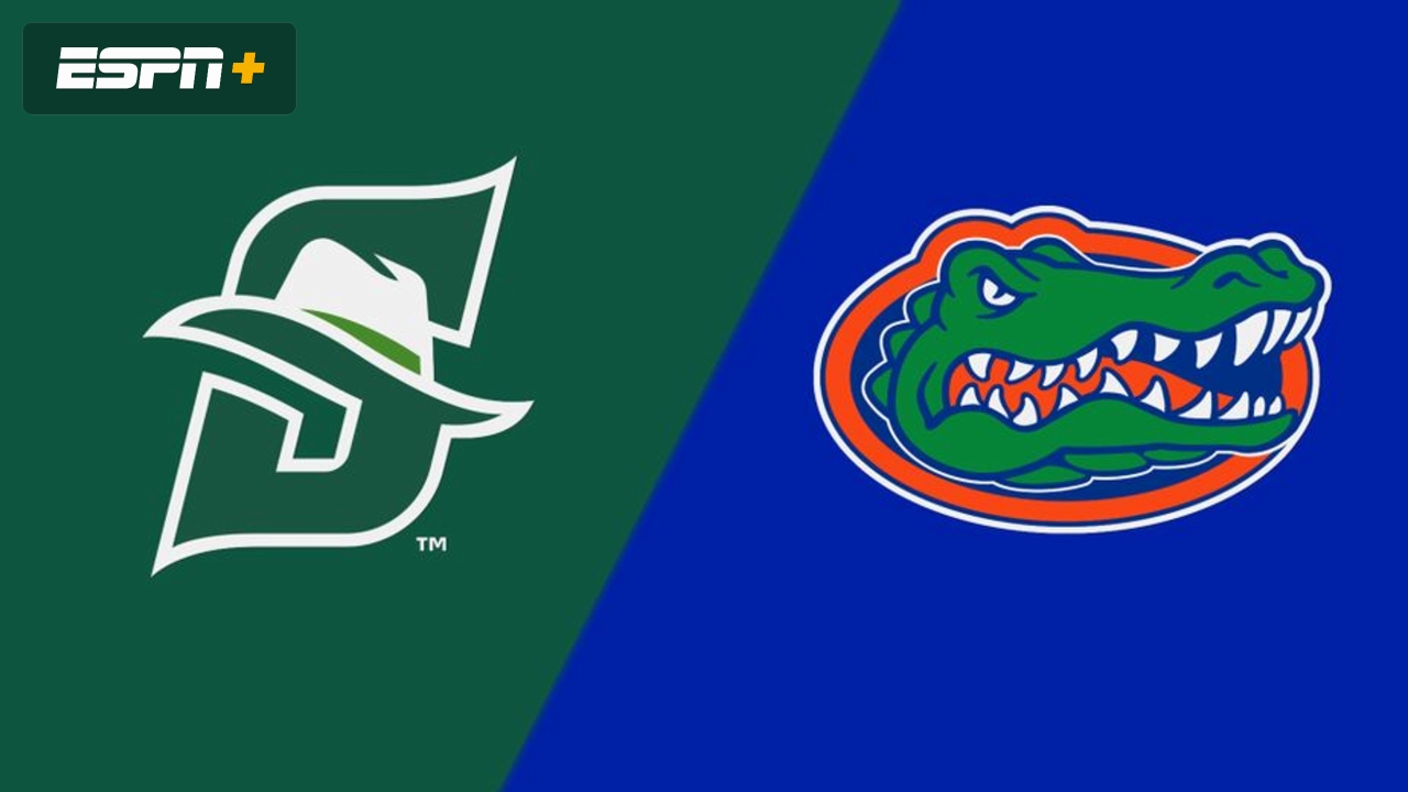 Stetson vs. #4 Florida