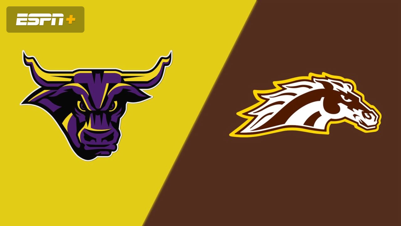 Minnesota State vs. #4 Western Michigan (Regional Semifinals)