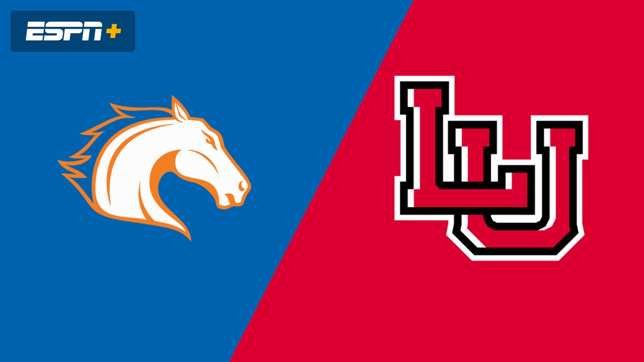 UT Arlington vs. Lamar