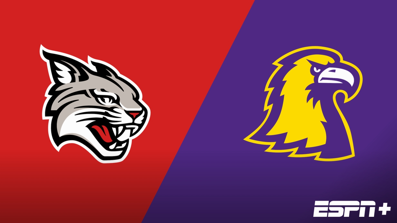 Davidson vs. Tennessee Tech