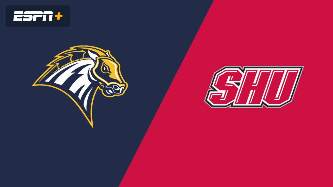 New Haven vs. Sacred Heart