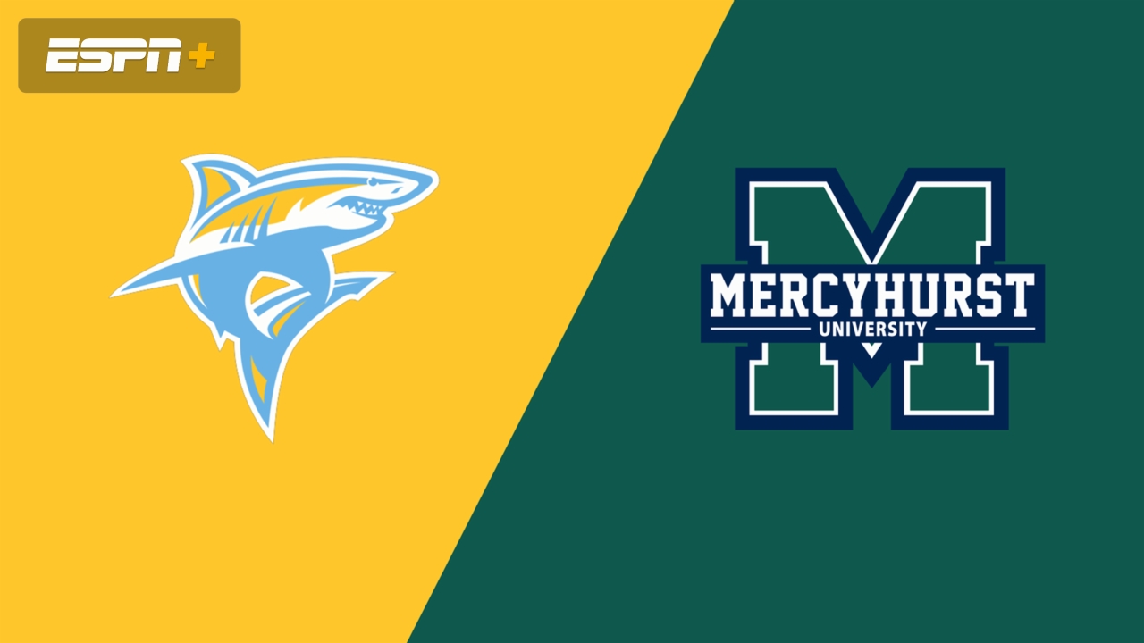 Long Island University vs. Mercyhurst