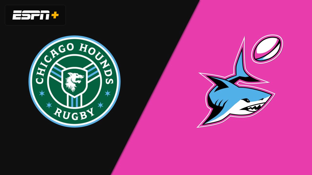 Chicago Hounds vs. Miami Sharks