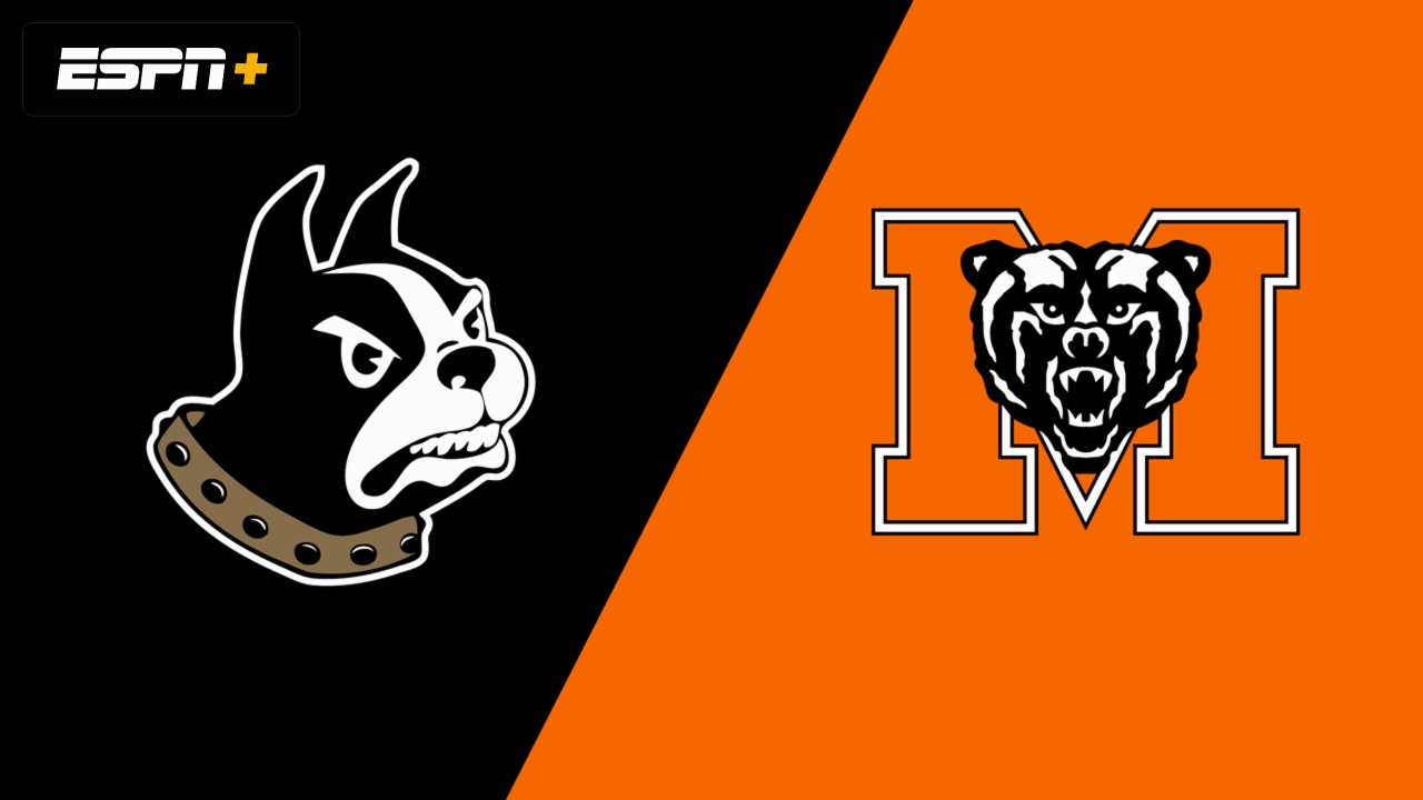 Wofford vs. Mercer (Semifinal 1)
