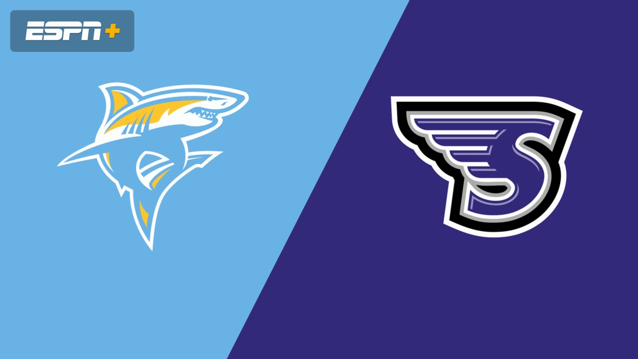 Long Island University vs. Stonehill (Championship)