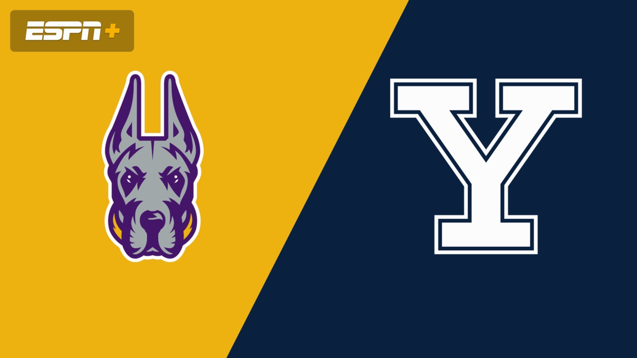 UAlbany vs. #7 Yale (First Round)