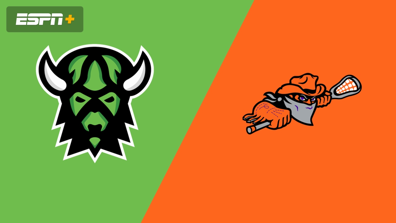 Saskatchewan Rush vs. Buffalo Bandits (Finals, Game 1)