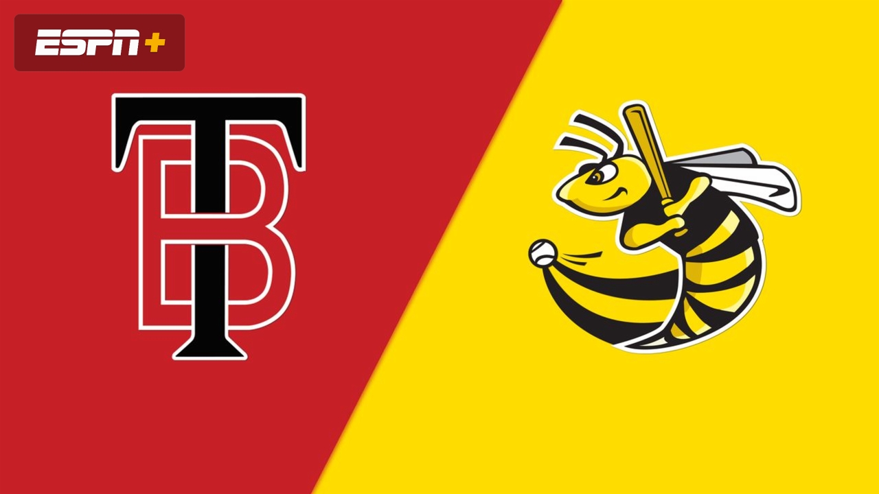 Thunder Bay Border Cats vs. Willmar Stingers