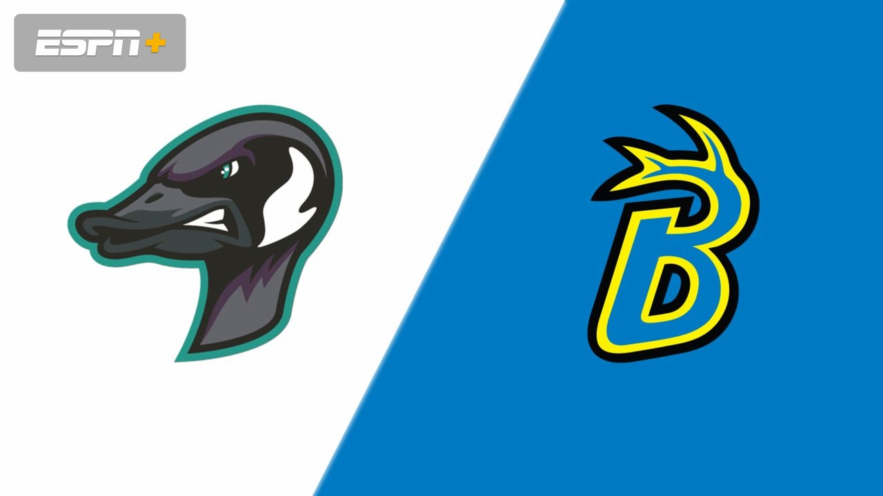 Rochester Honkers vs. Waterloo Bucks