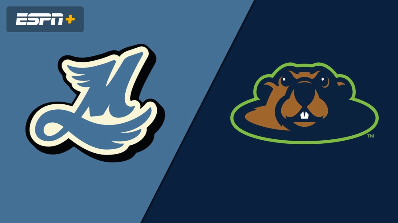 Madison Mallards vs. Wausau Woodchucks