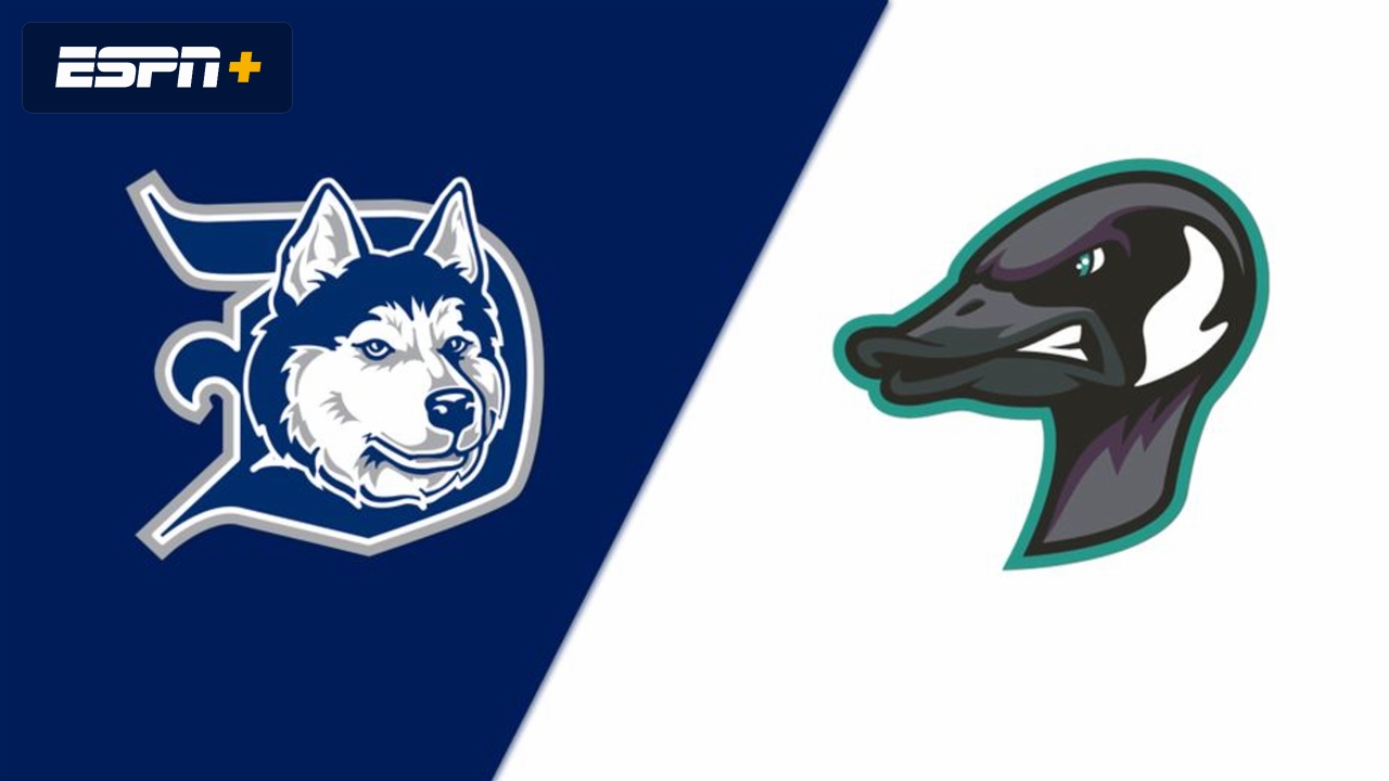 Duluth Huskies vs. Rochester Honkers