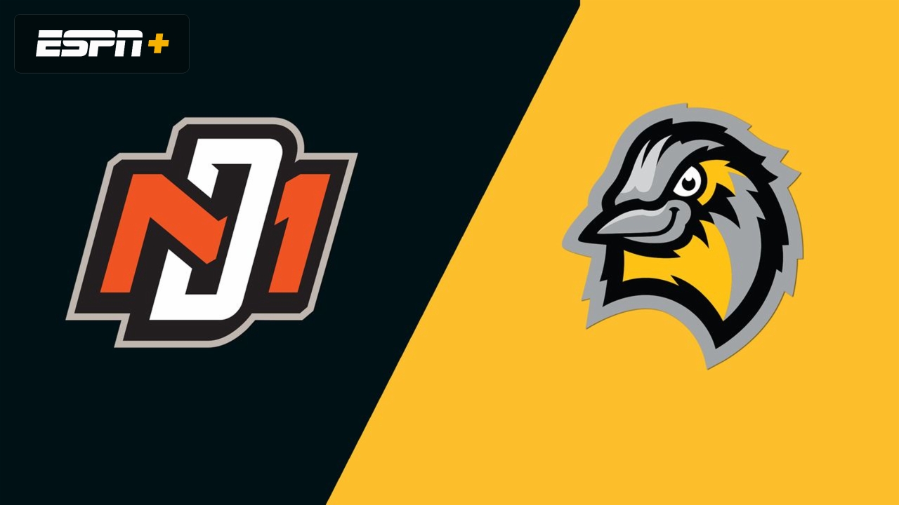 Mankato MoonDogs vs. Bismarck Larks