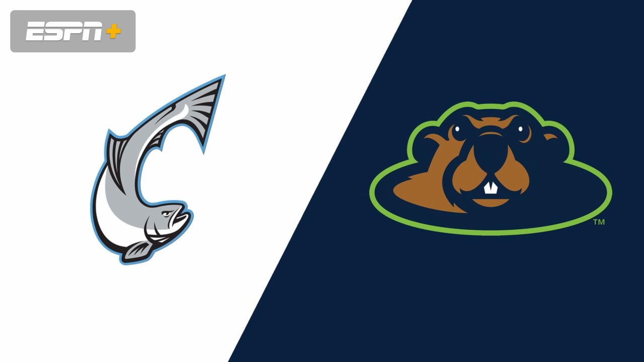 Lakeshore Chinooks vs. Wausau Woodchucks