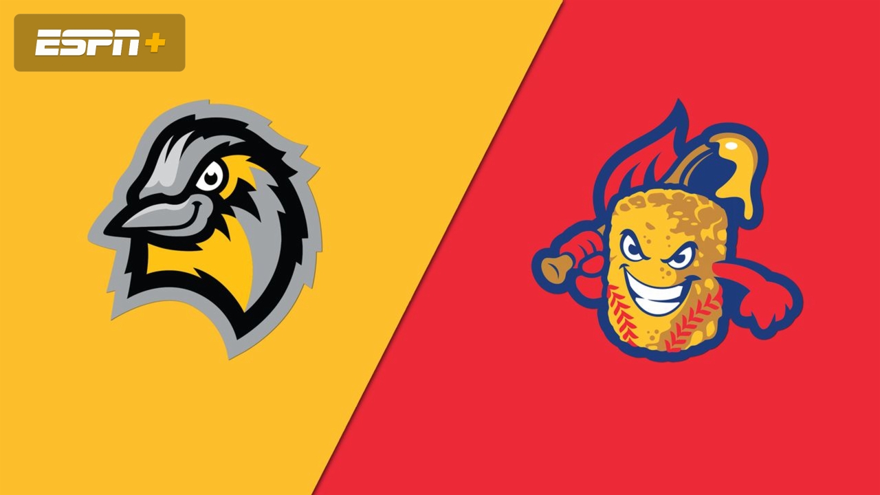 Bismarck Larks vs. Minot Hot Tots