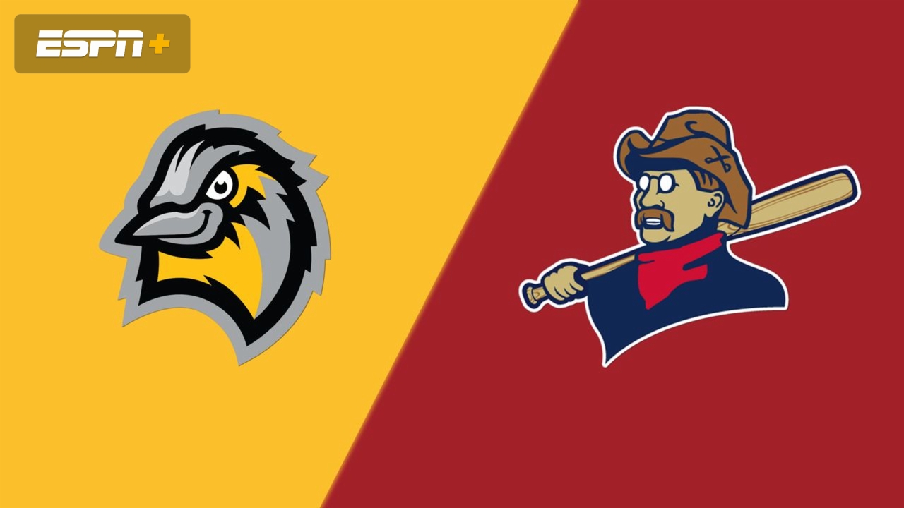 Bismarck Larks vs. Badlands Big Sticks