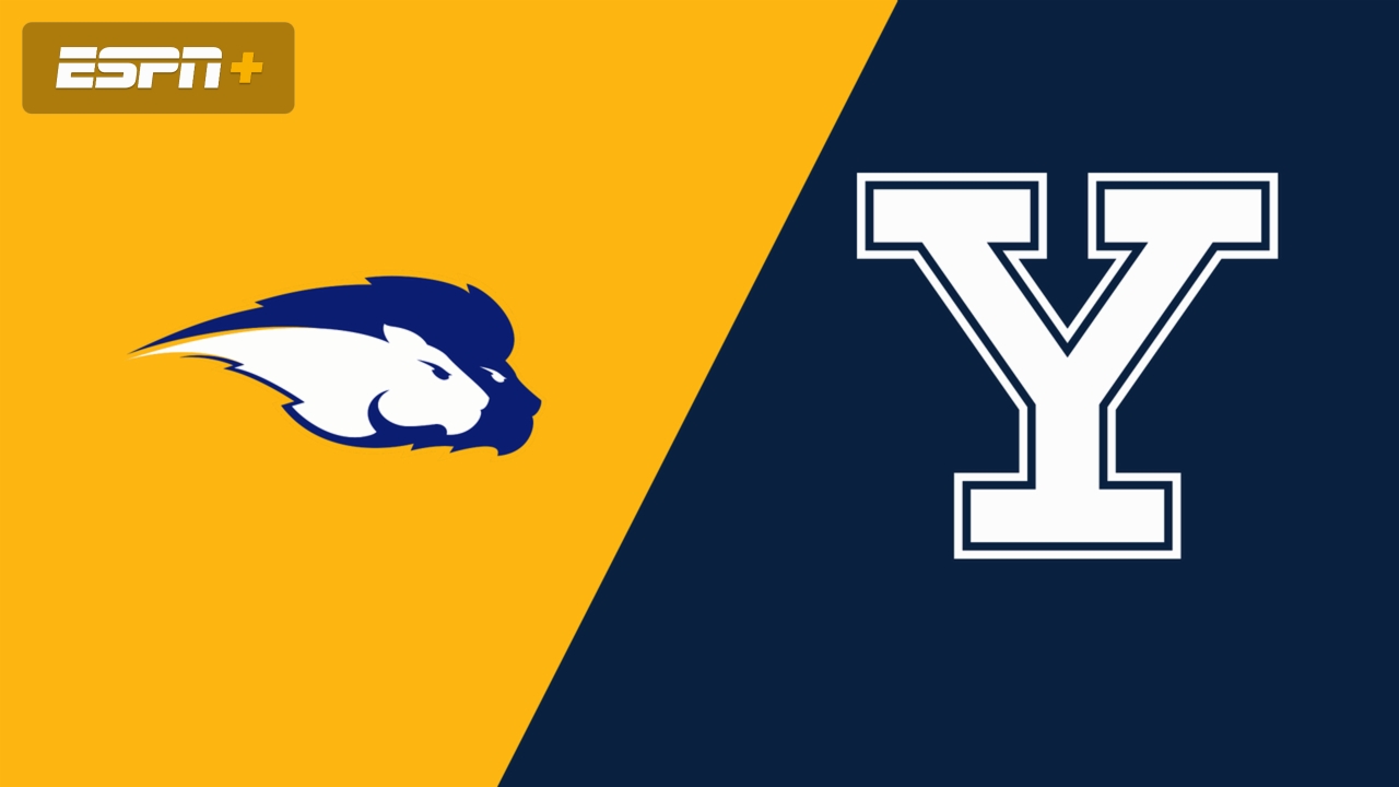 Hofstra vs. Yale