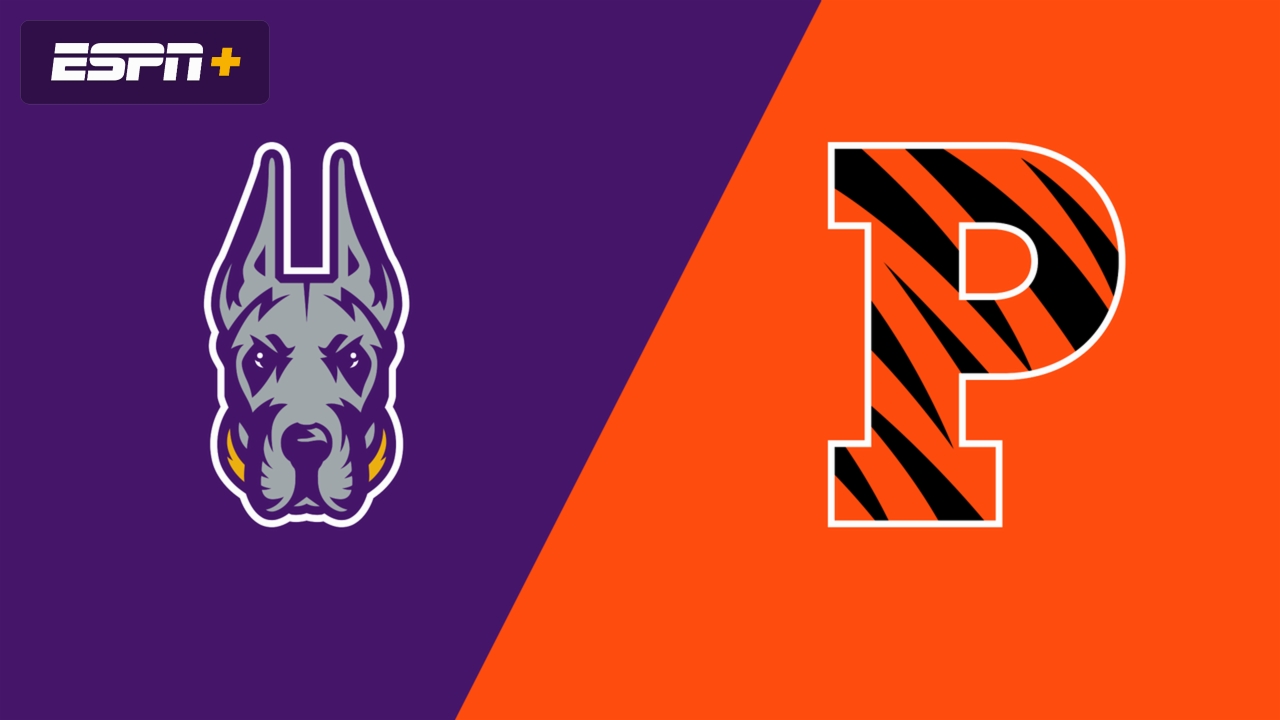 UAlbany vs. Princeton