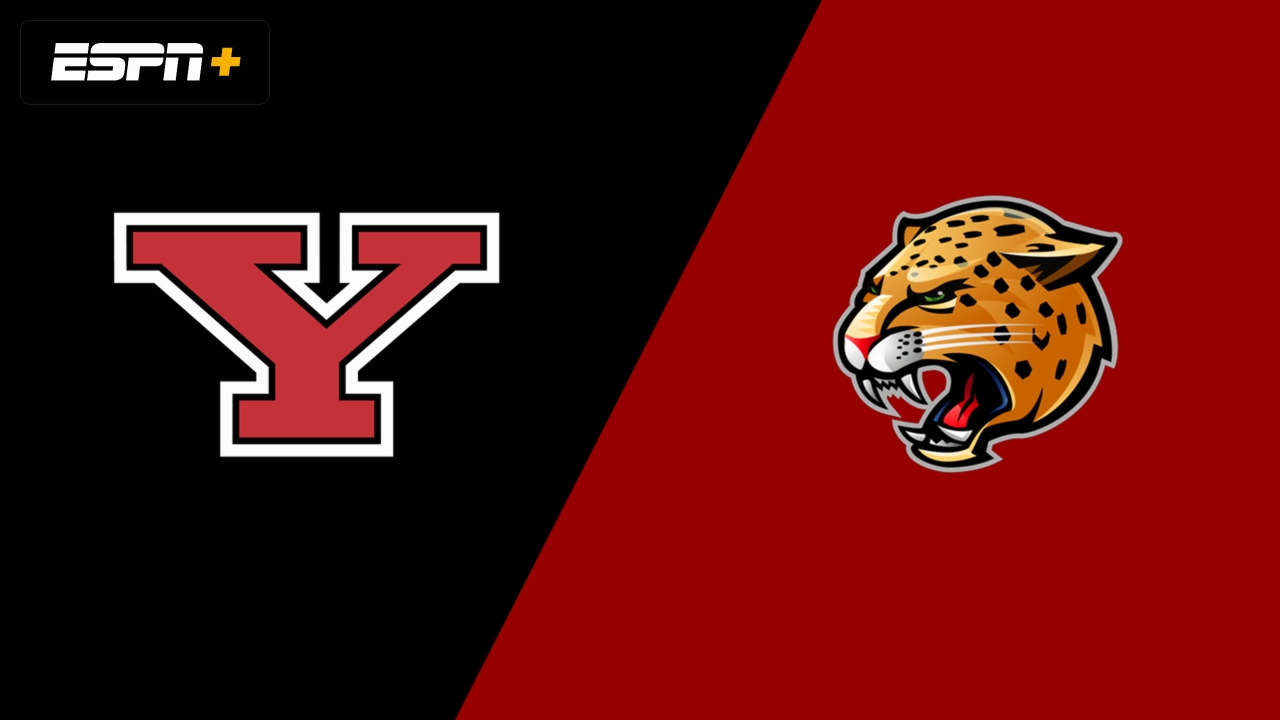 Youngstown State vs. IU Indianapolis