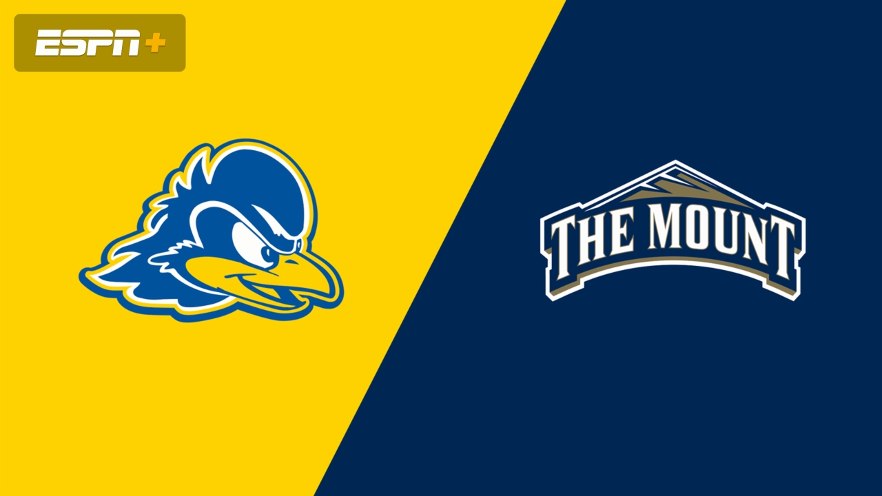 Delaware vs. Mount St. Mary's