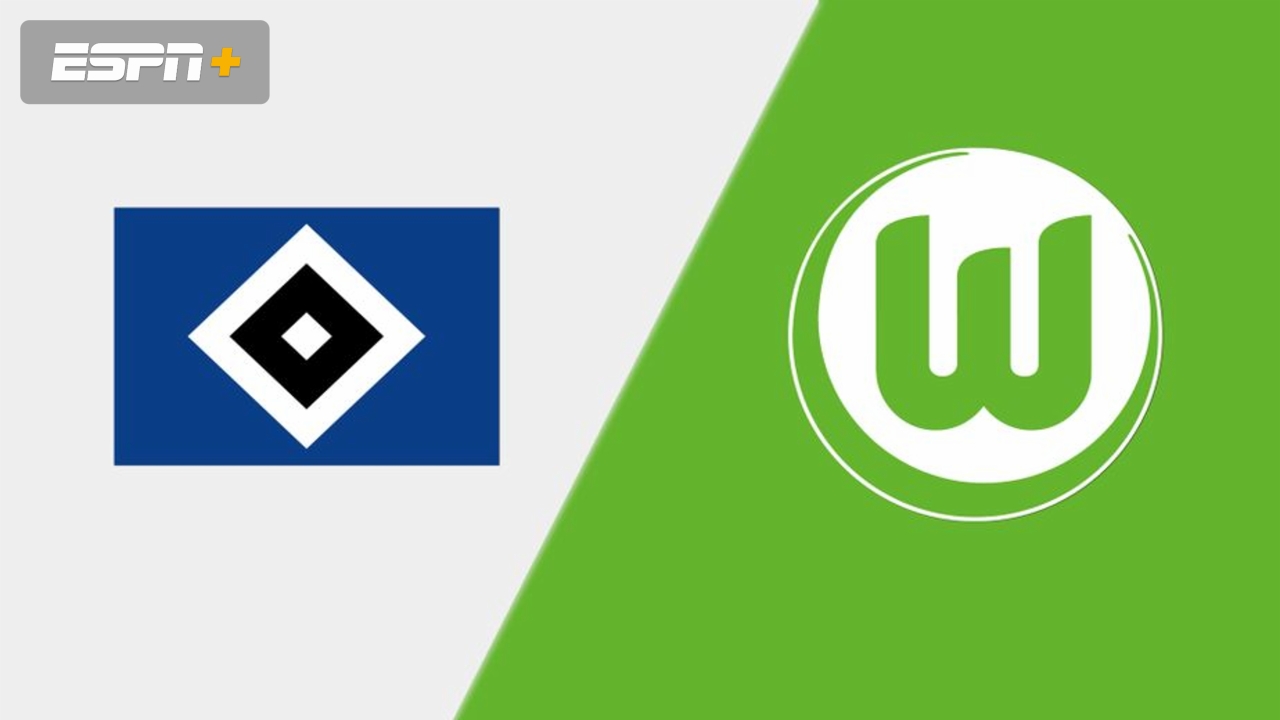 Hamburger SV vs. VfL Wolfsburg (Bundesliga)