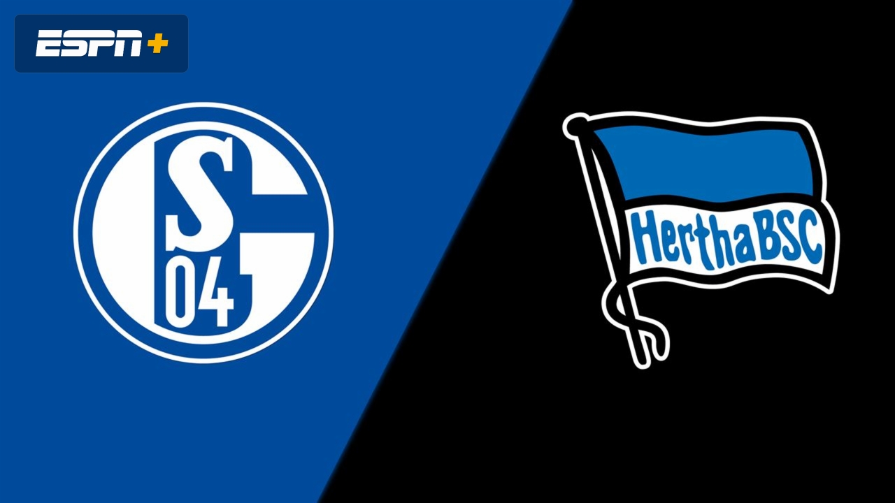 FC Schalke 04 vs. Hertha BSC