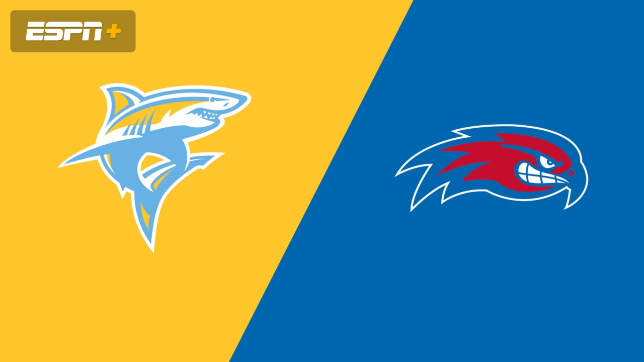 Long Island University vs. UMass Lowell