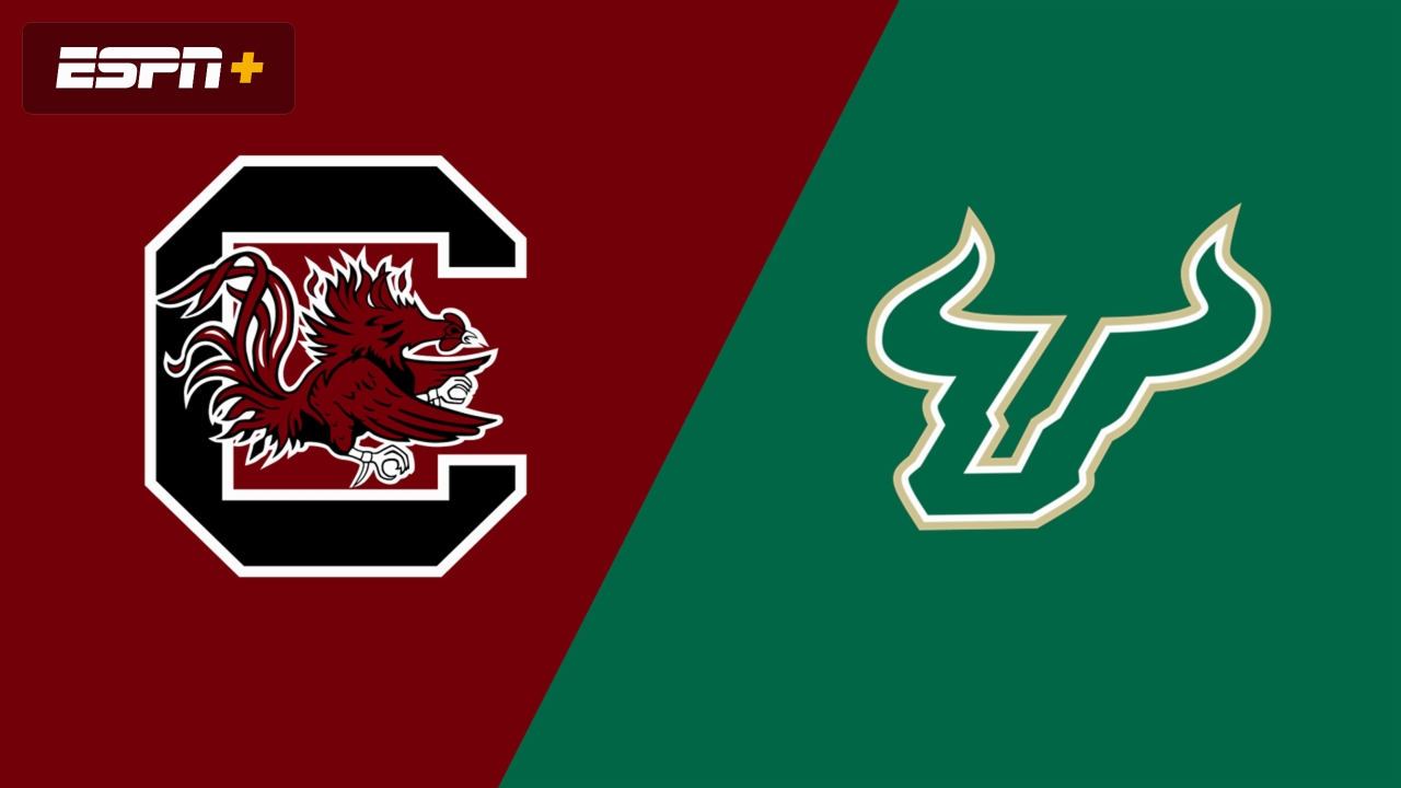 South Carolina vs. South Florida