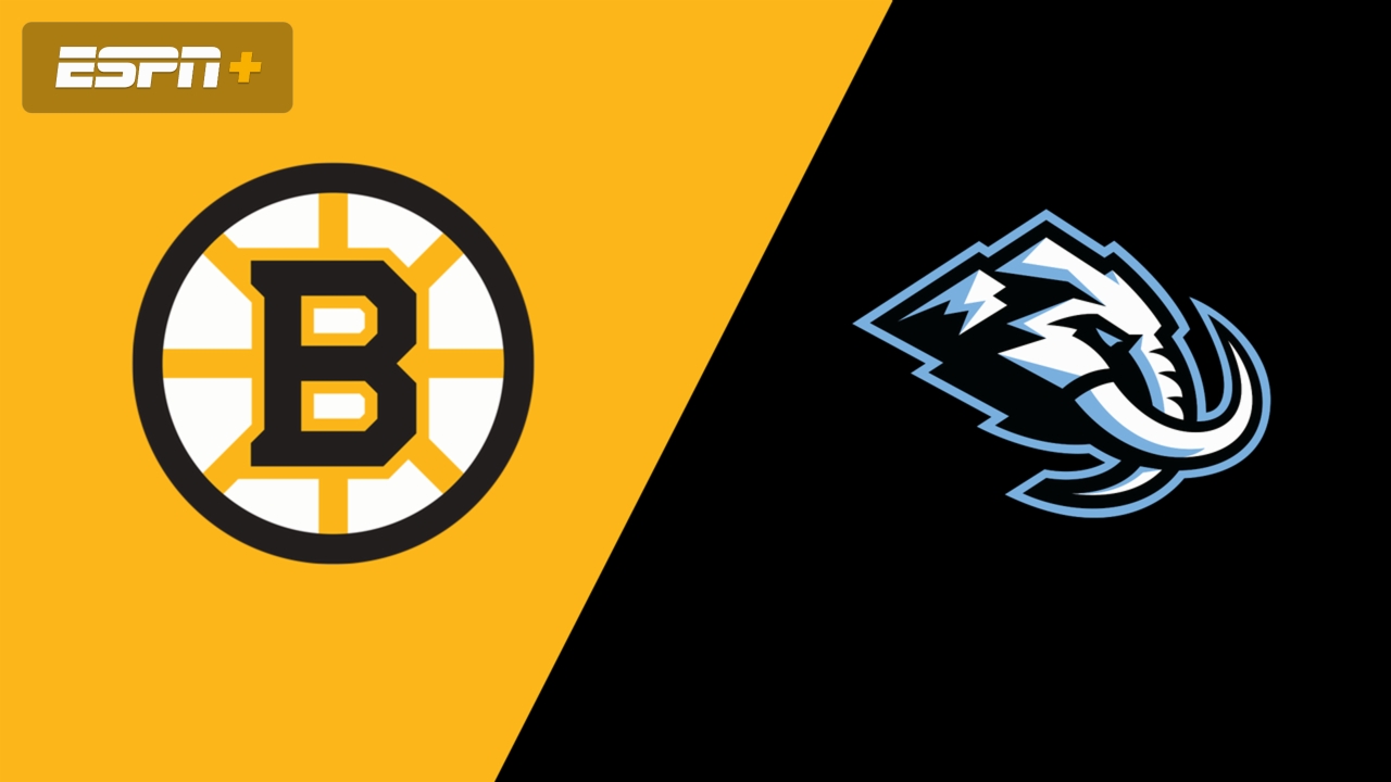 Boston Bruins vs. Utah Mammoth