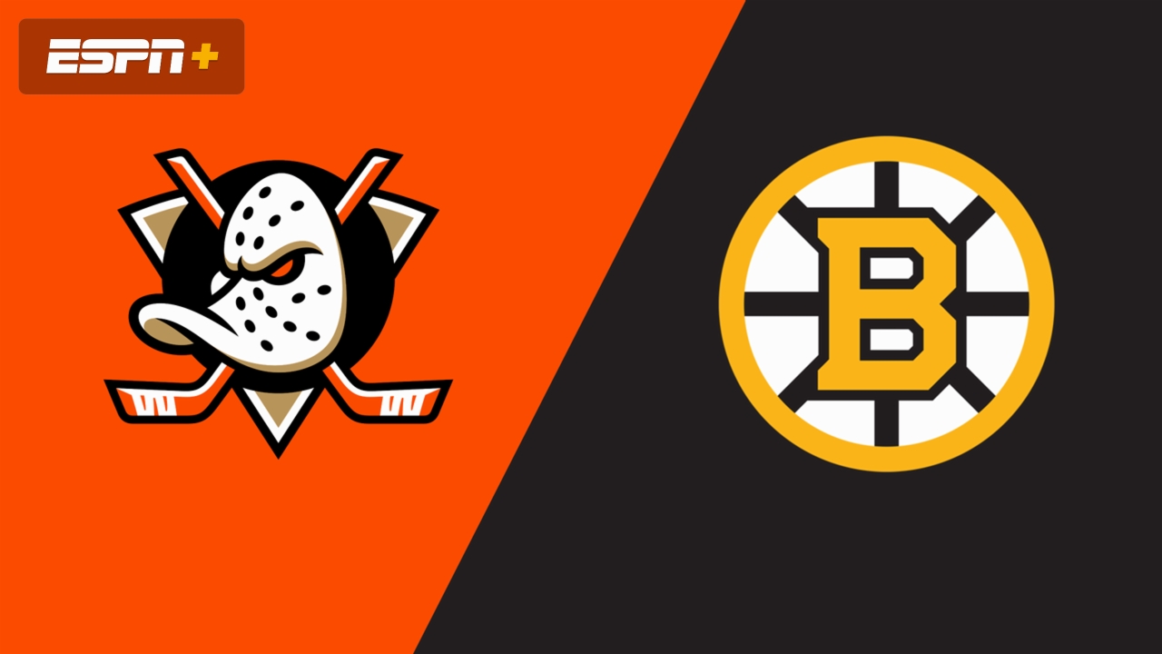 Anaheim Ducks vs. Boston Bruins