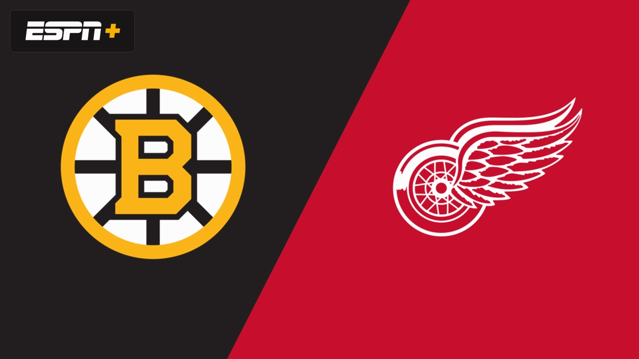 Boston Bruins vs. Detroit Red Wings
