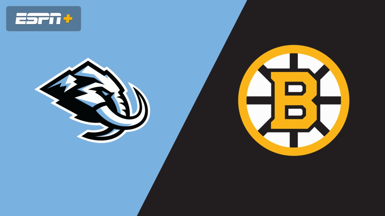 Utah Mammoth vs. Boston Bruins