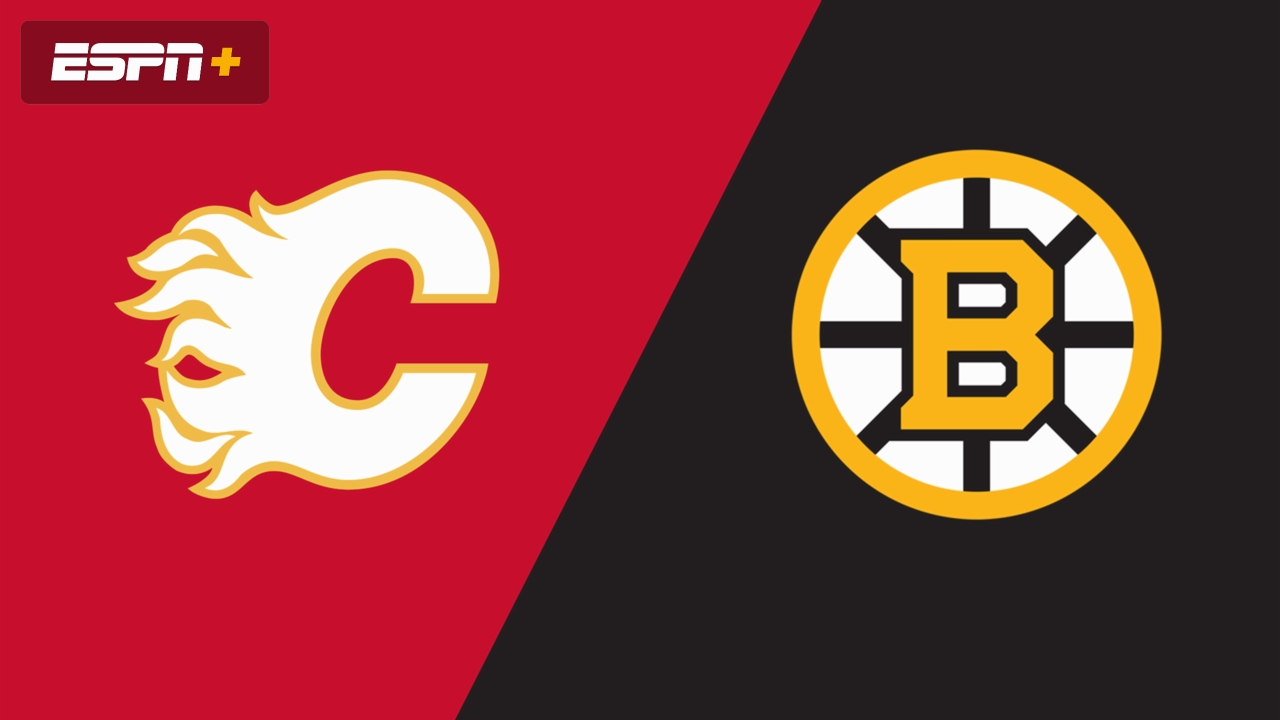 Calgary Flames vs. Boston Bruins