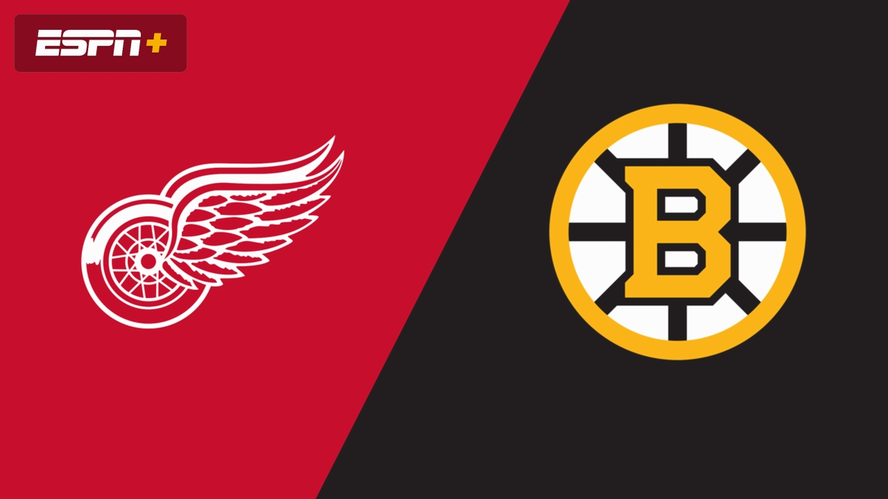 Detroit Red Wings vs. Boston Bruins