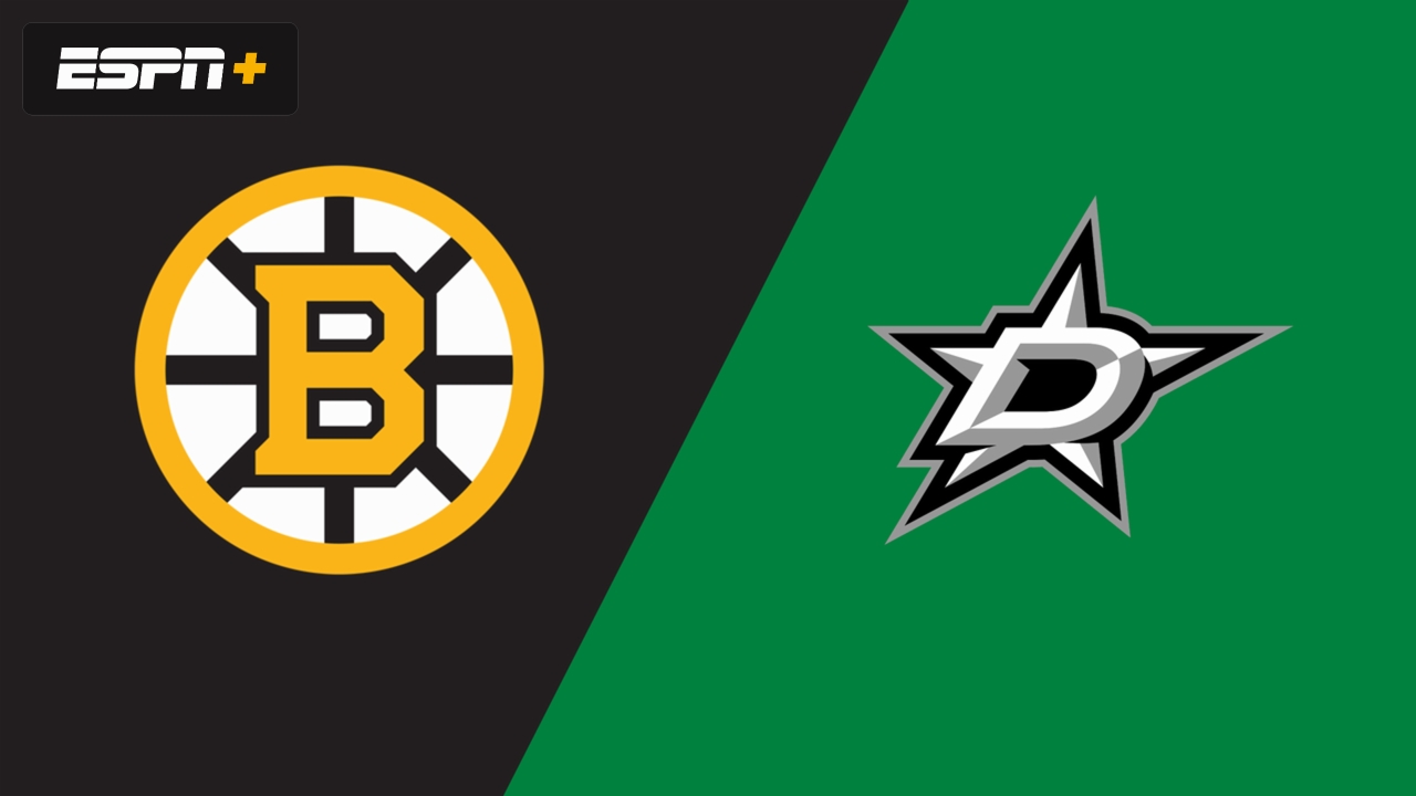 Boston Bruins vs. Dallas Stars