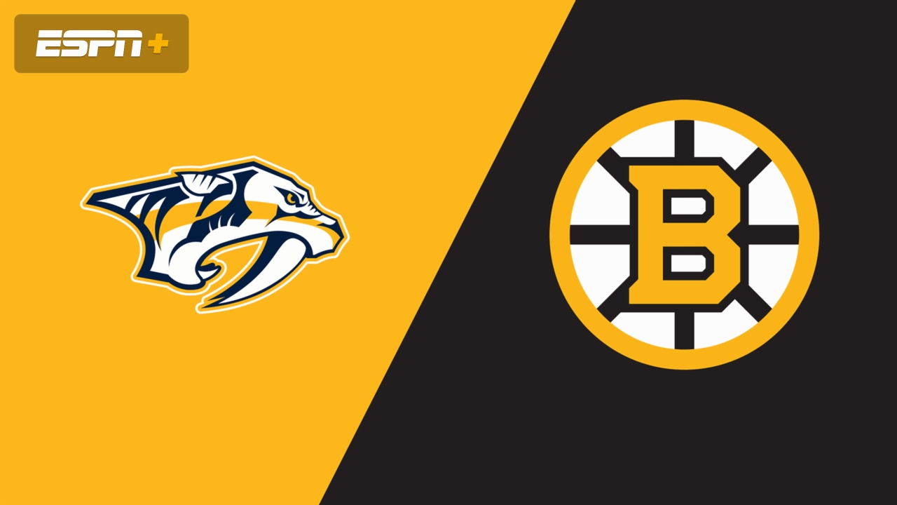 Nashville Predators vs. Boston Bruins
