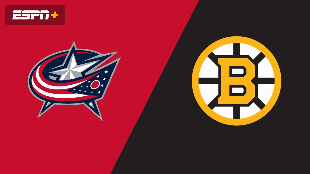 Columbus Blue Jackets vs. Boston Bruins