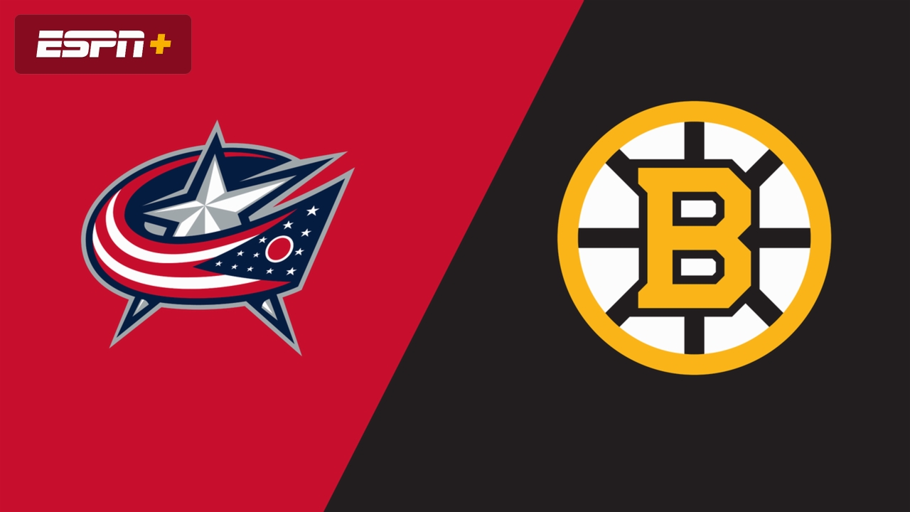 Columbus Blue Jackets vs. Boston Bruins
